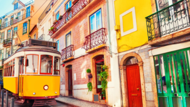 Portugal job seeker visa apply online