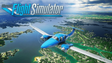 Microsoft Flight Simulator Background