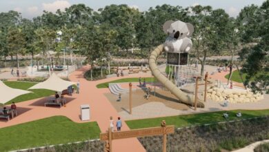 Koala's Playground