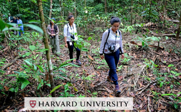 Logo:8pn96ezp-Nw= Harvard University