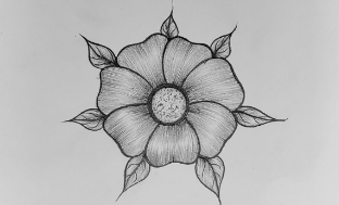 Beautiful:1qk6taauoqk= Easy Simple Flower Pencil Drawing