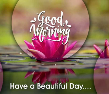 Beautiful:5dggzkdkohi= New Good Morning Wishes