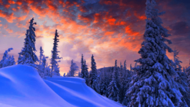 Beautiful:_Zbeu8sfqms= Winter Wallpaper