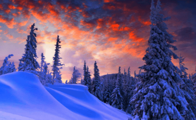 Beautiful:_Zbeu8sfqms= Winter Wallpaper