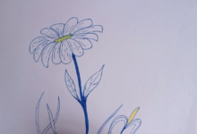 Beautiful:_-8ey6u6pwg= Flower Drawing