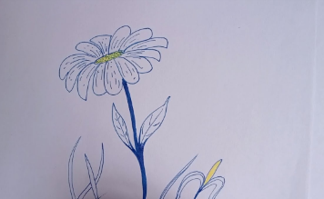 Beautiful:_-8ey6u6pwg= Flower Drawing