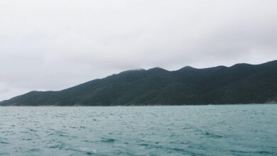 amber rose in cape verde