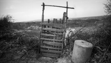 chagaras cultural significance explored