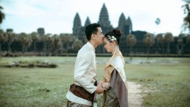 curated list of movies