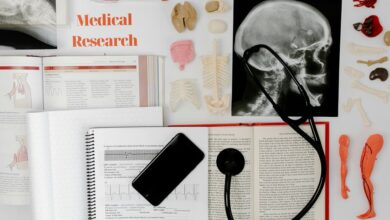 education systems and statistics