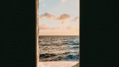 kuwait meta portal signup