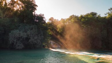 onionplay safety concerns discussed