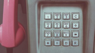 phone number format example