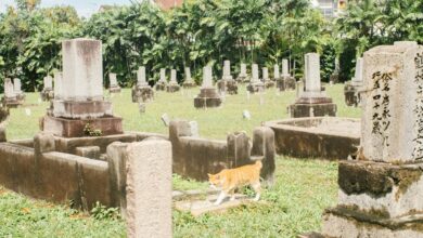 plot twists and revelations