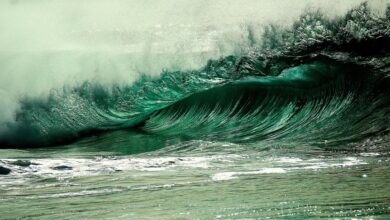 rhythmic beating or throbbing