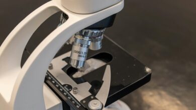 understanding rubranking usage meaning