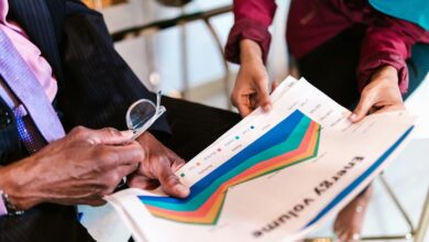 vidnoz ai usage analysis