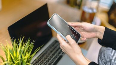 wifecrazy stacie internet phenomenon