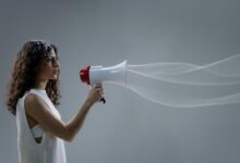 echo frequency notification received