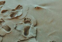 pattern reemerges source trace