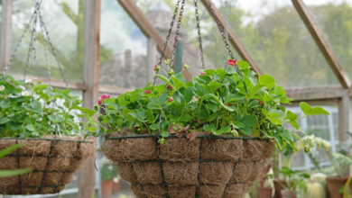 Coconut Coir Products in Coir