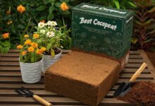 Coco Peat Brick: The Natural Coconut Brick for Plants Every Gardener Needs