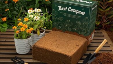 Coco Peat Brick: The Natural Coconut Brick for Plants Every Gardener Needs