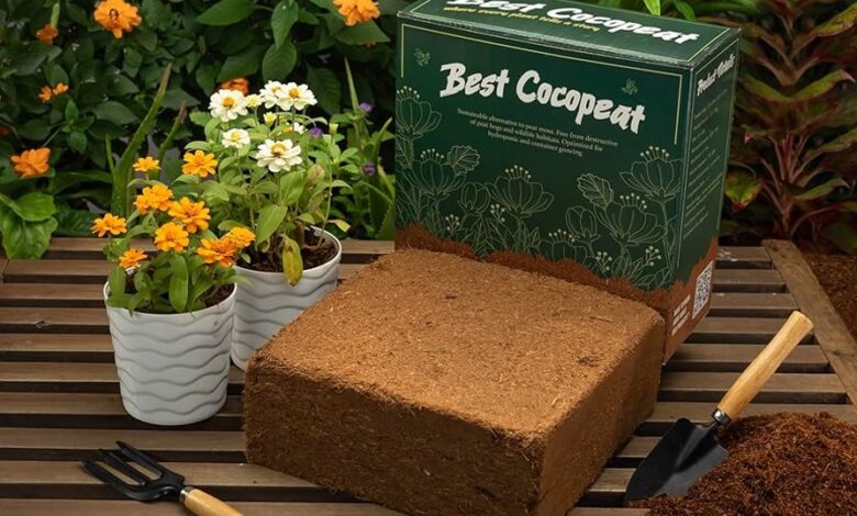 Coco Peat Brick: The Natural Coconut Brick for Plants Every Gardener Needs