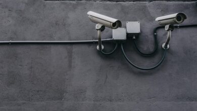 data protection contact numbers