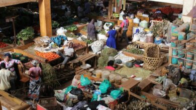 elevation arc start 9299952002