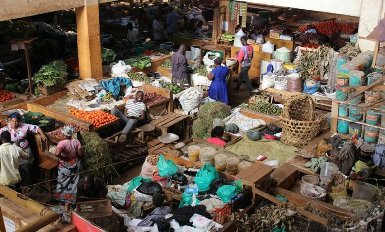 elevation arc start 9299952002