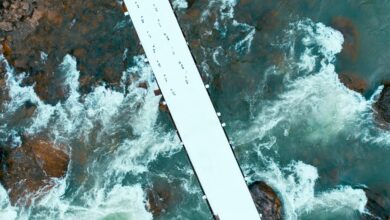 elevation flow start 9157749972 driving progressive innovation