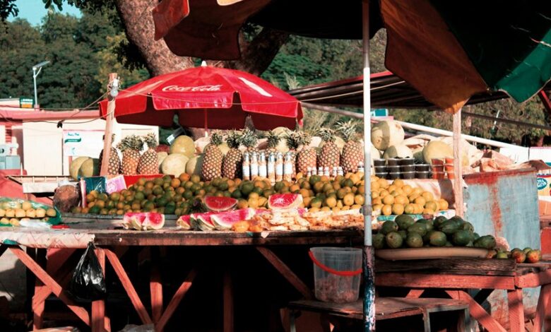 elevation prism start shaping market opportunities