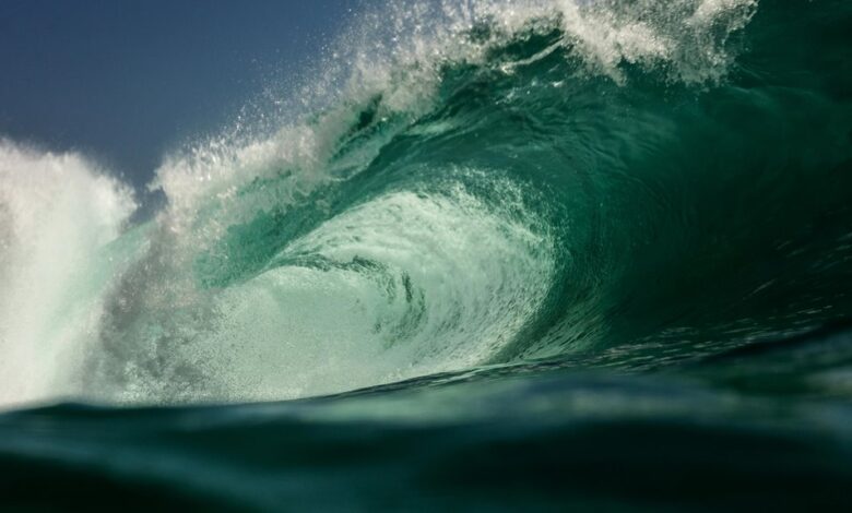 fusion crest begins shaping transformative horizons