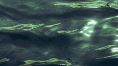 fusion wave drives transformative potential