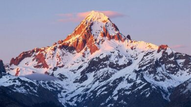 horizon flux start 8653815207