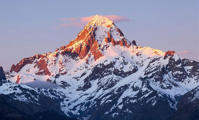 horizon flux start 8653815207