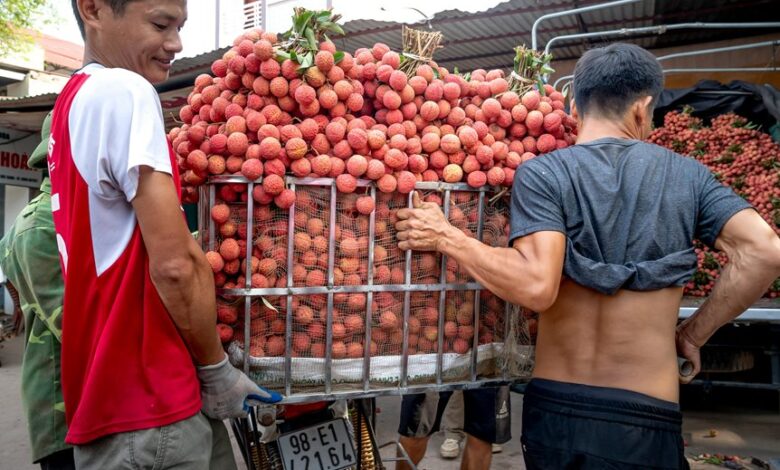 horizon lift start 8574156189