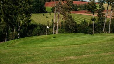 horizon spark start growth path