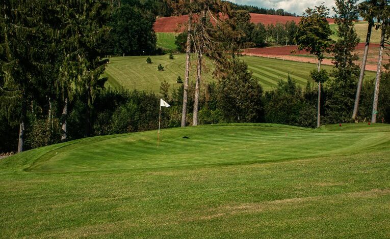 horizon spark start growth path