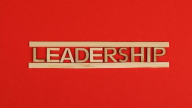 luminous path fueling leadership