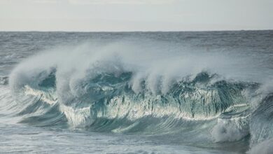 luminous surge start 9104550722