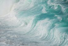 luminous wave start 9153079462