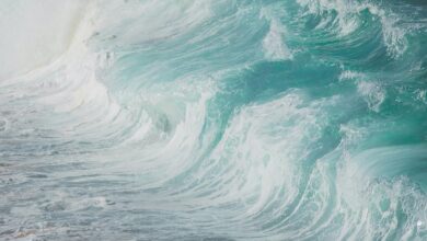 luminous wave start 9153079462