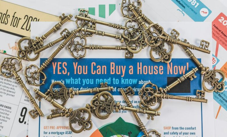 momentum edge start unlocking market opportunities