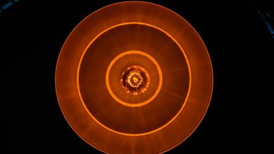 momentum radiance start market innovation