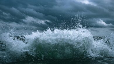 momentum surge start shaping market