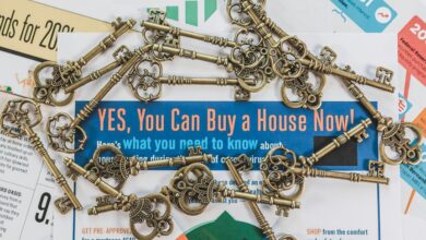 quantum spark start unlocking market opportunities