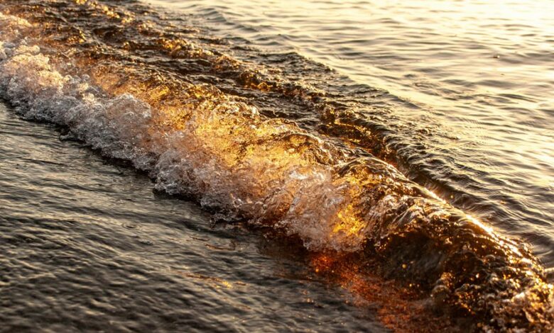 radiance wave fuels leadership market