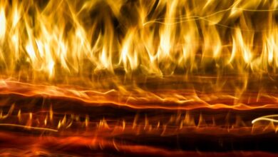 radiant flow start shaping leadership